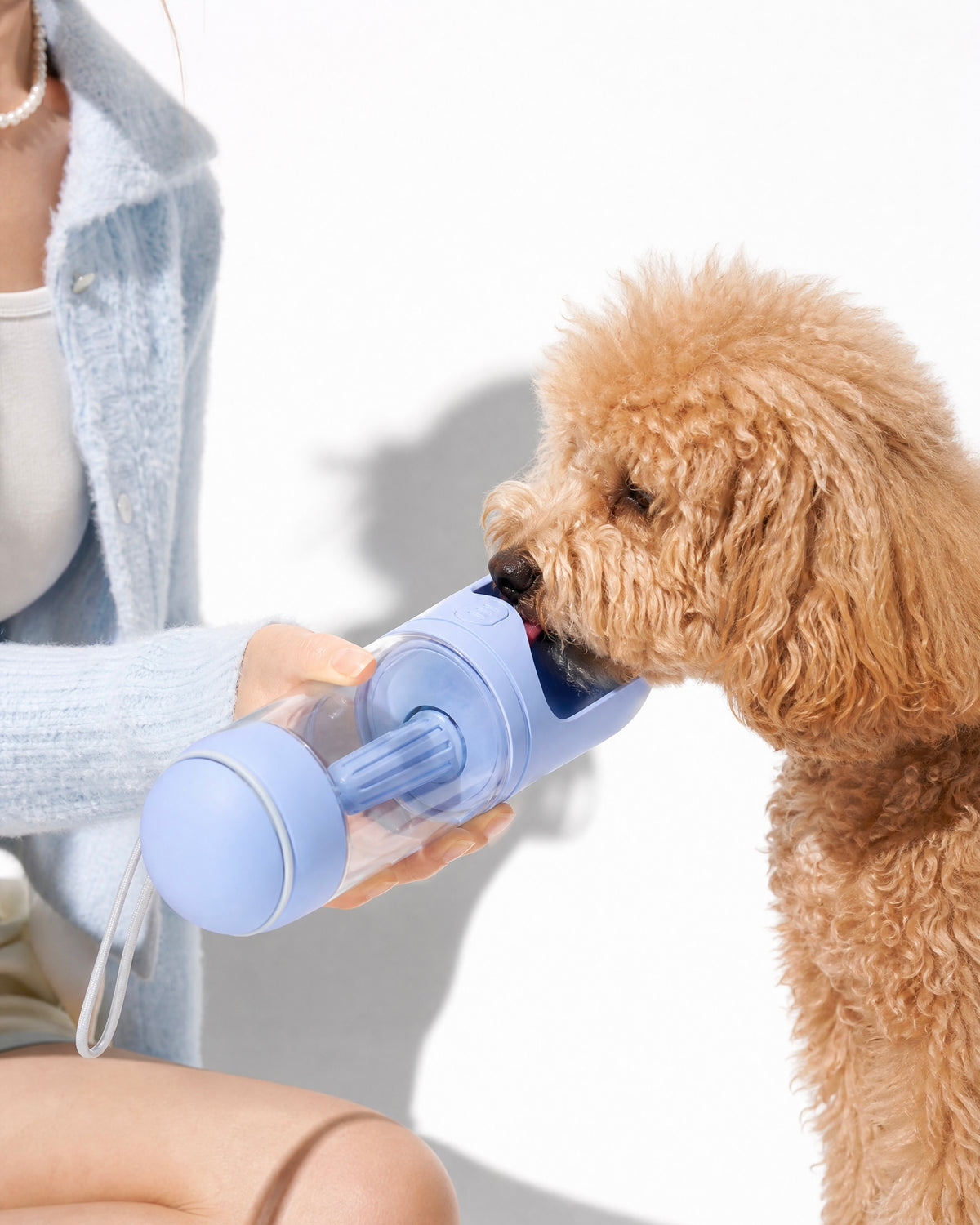 Portable Water Bottle
