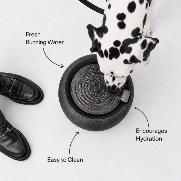 Smart Water Fountain