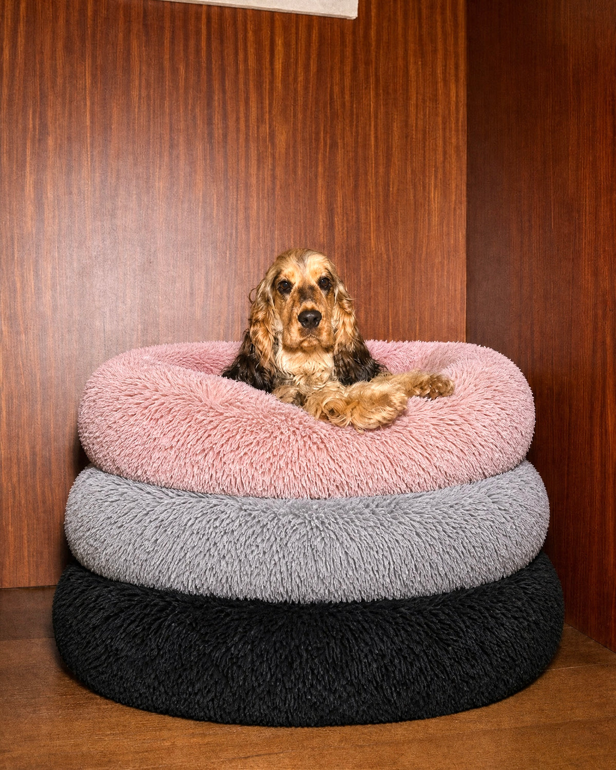 Donut Bed