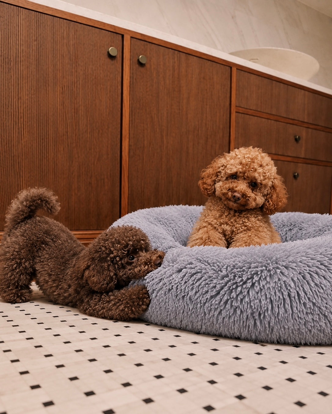 Donut Bed