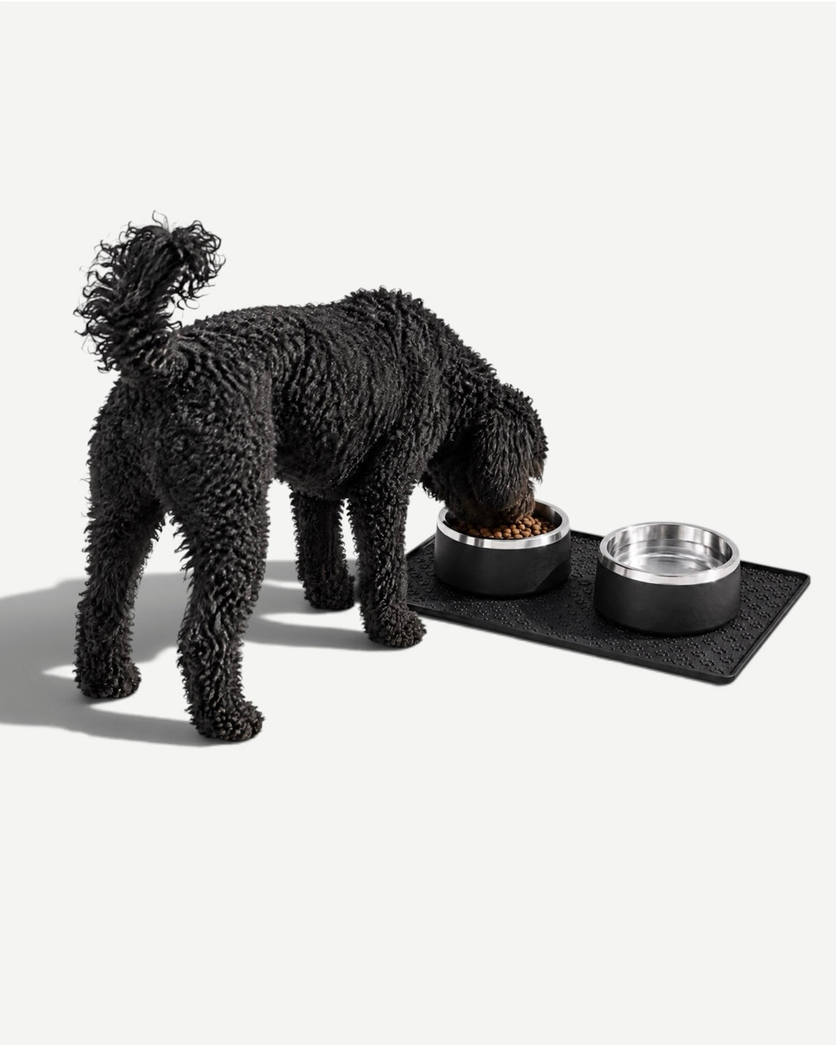 Dog Bowl