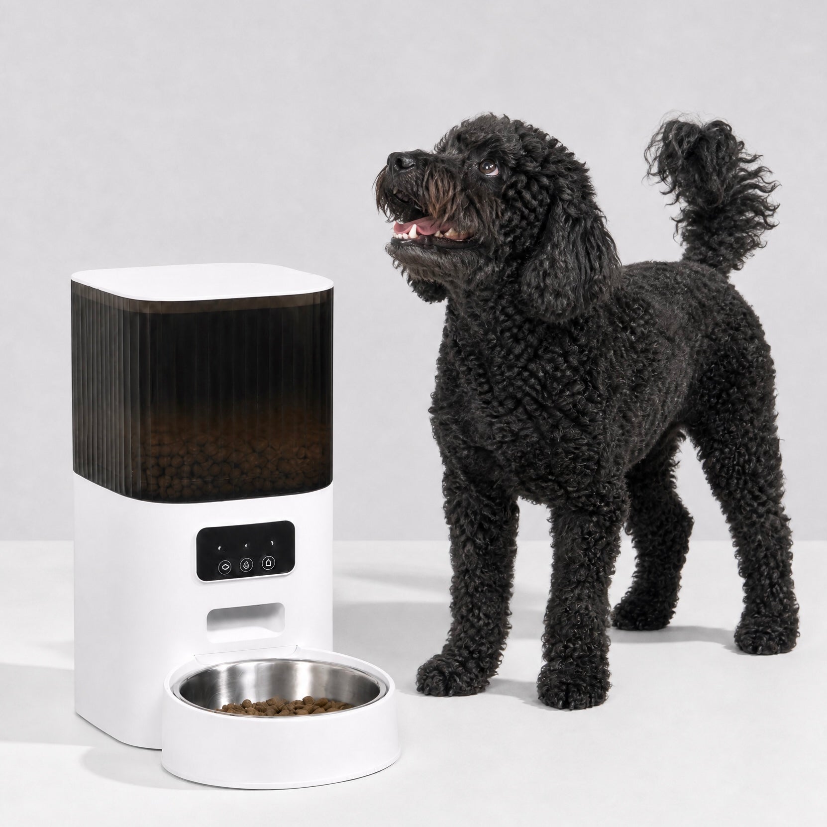 Automatic Pet Feeder