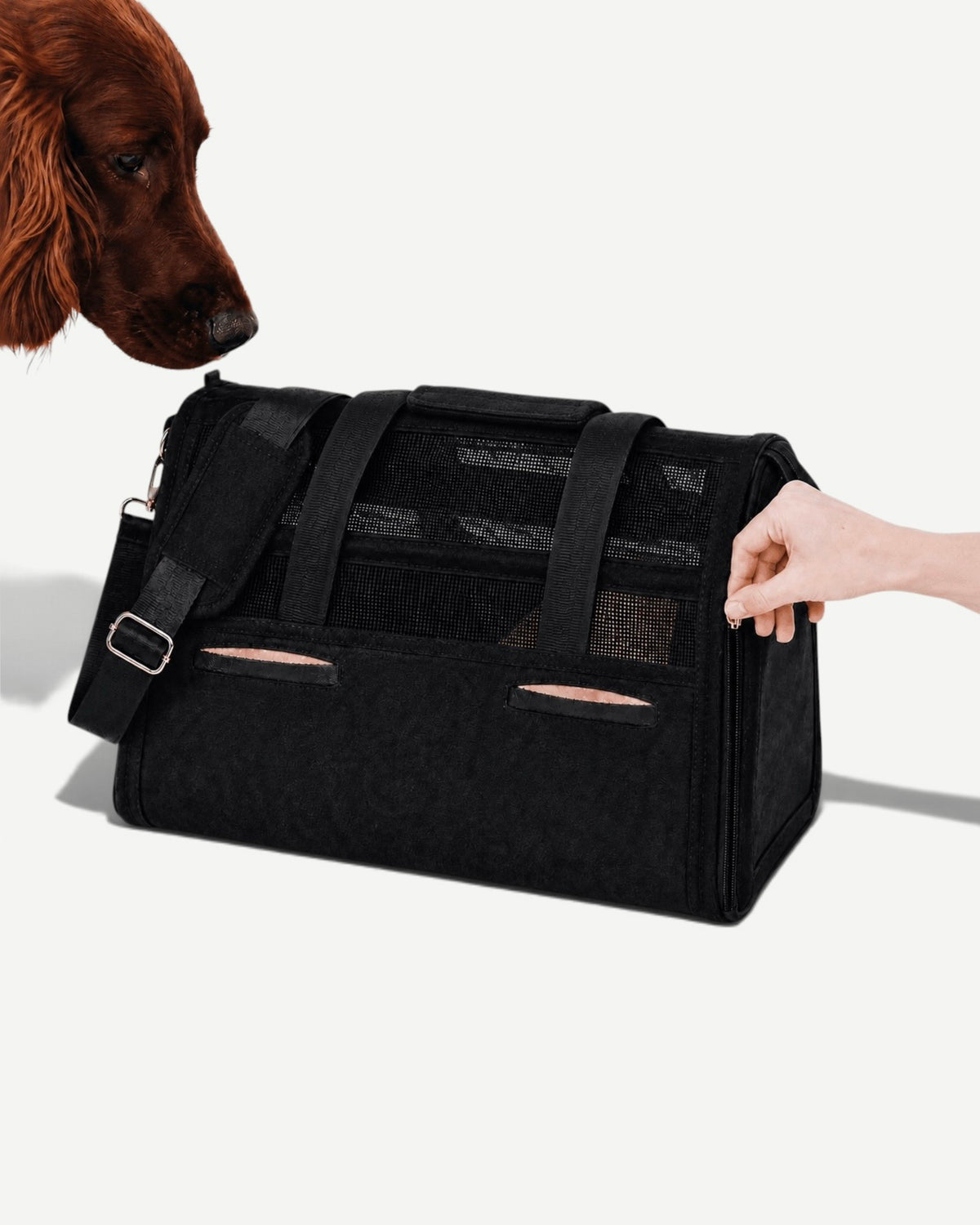 Travel Bag