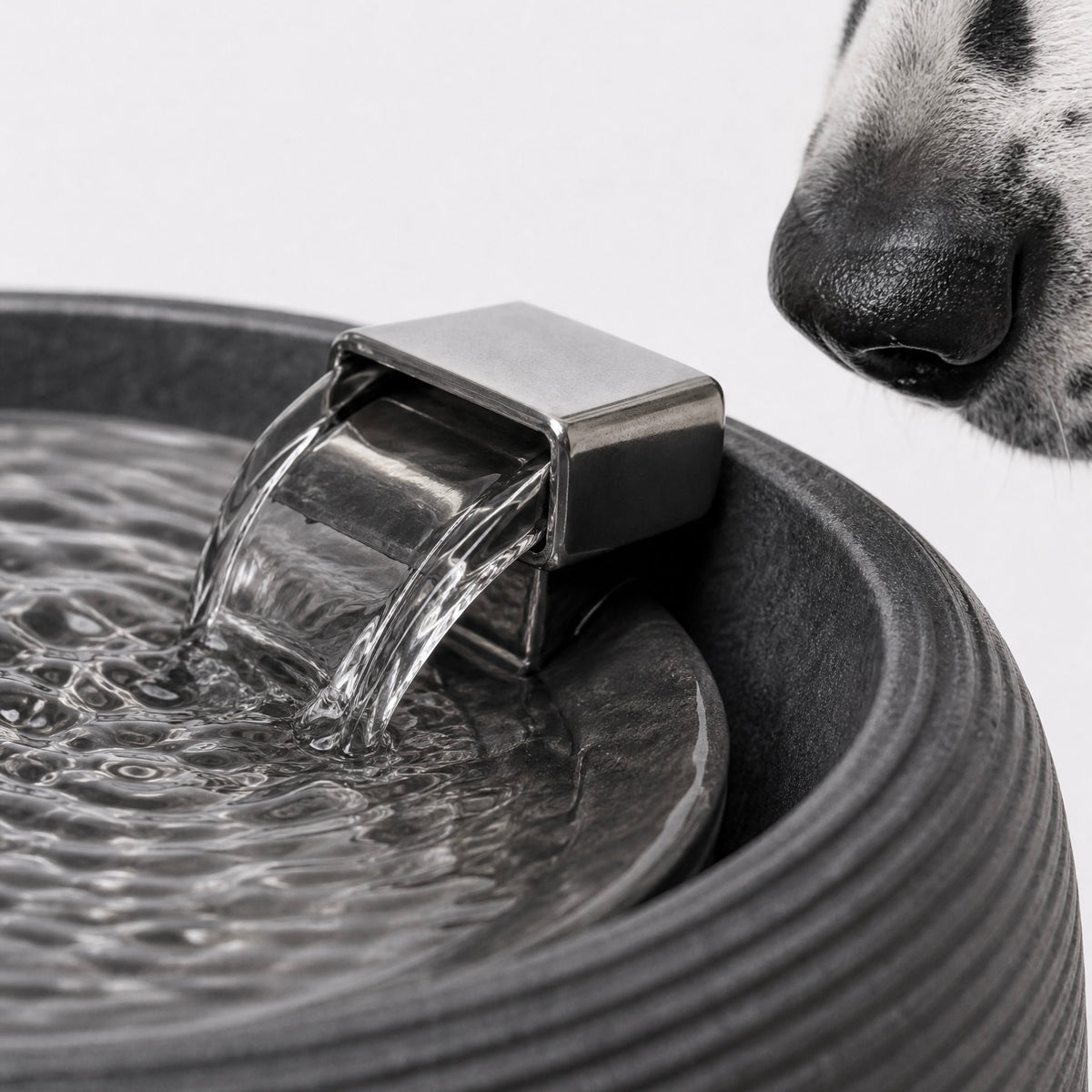 Smart Water Fountain