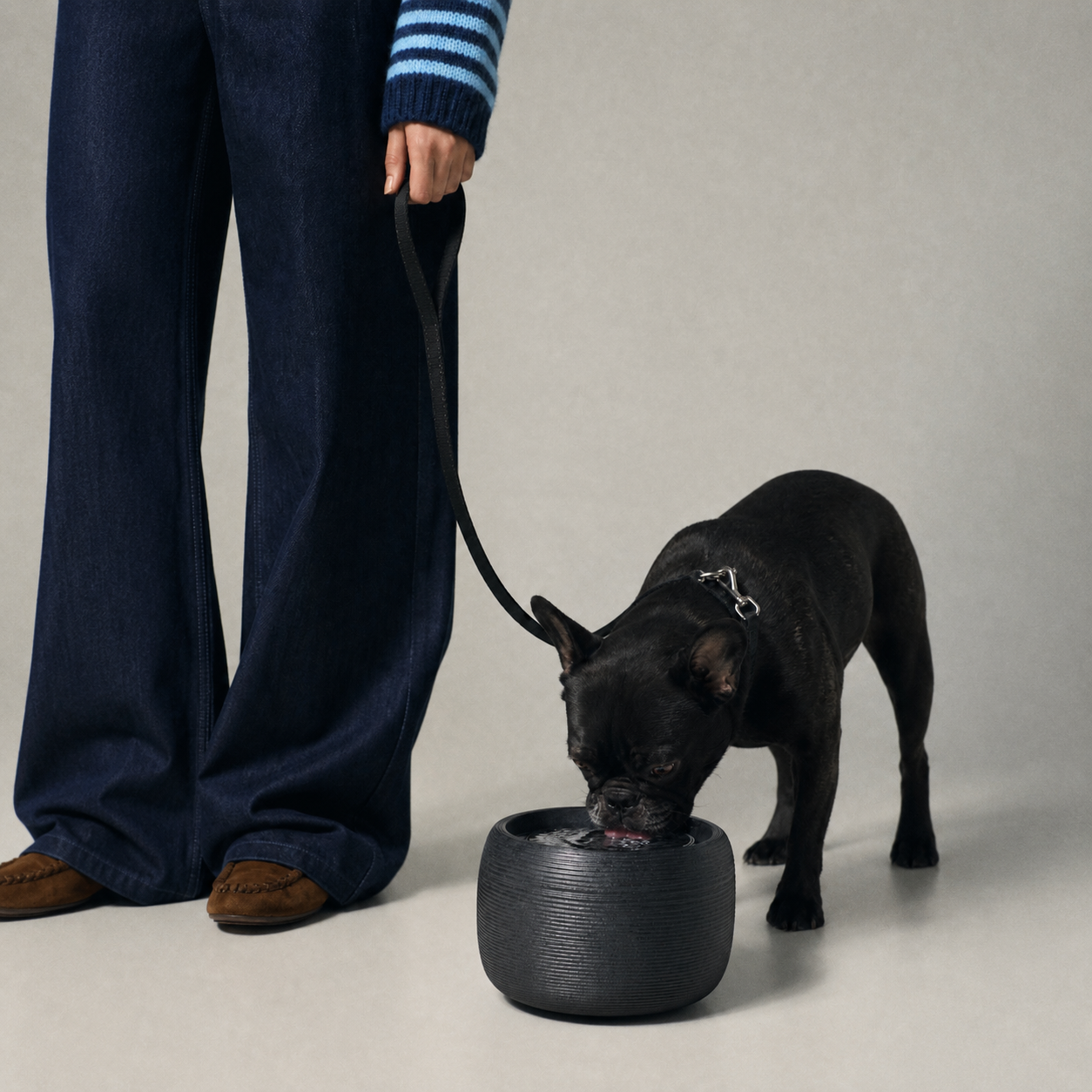 Smart Water Fountain
