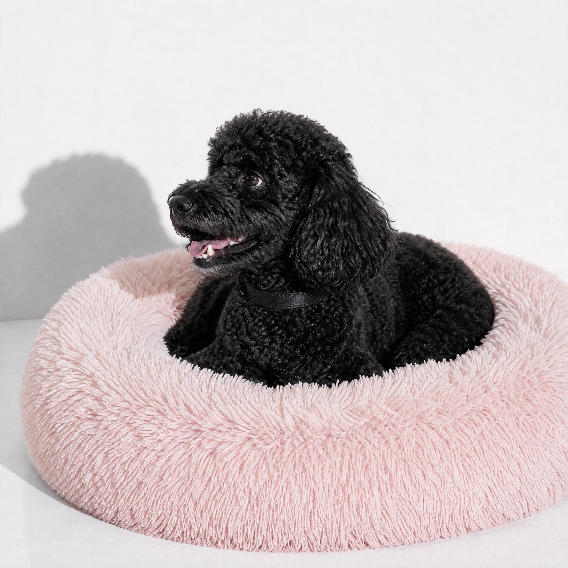 Fluffy Donut Bed