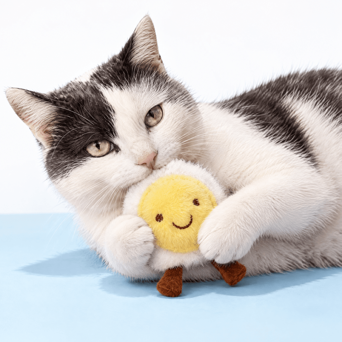 Cat Toy