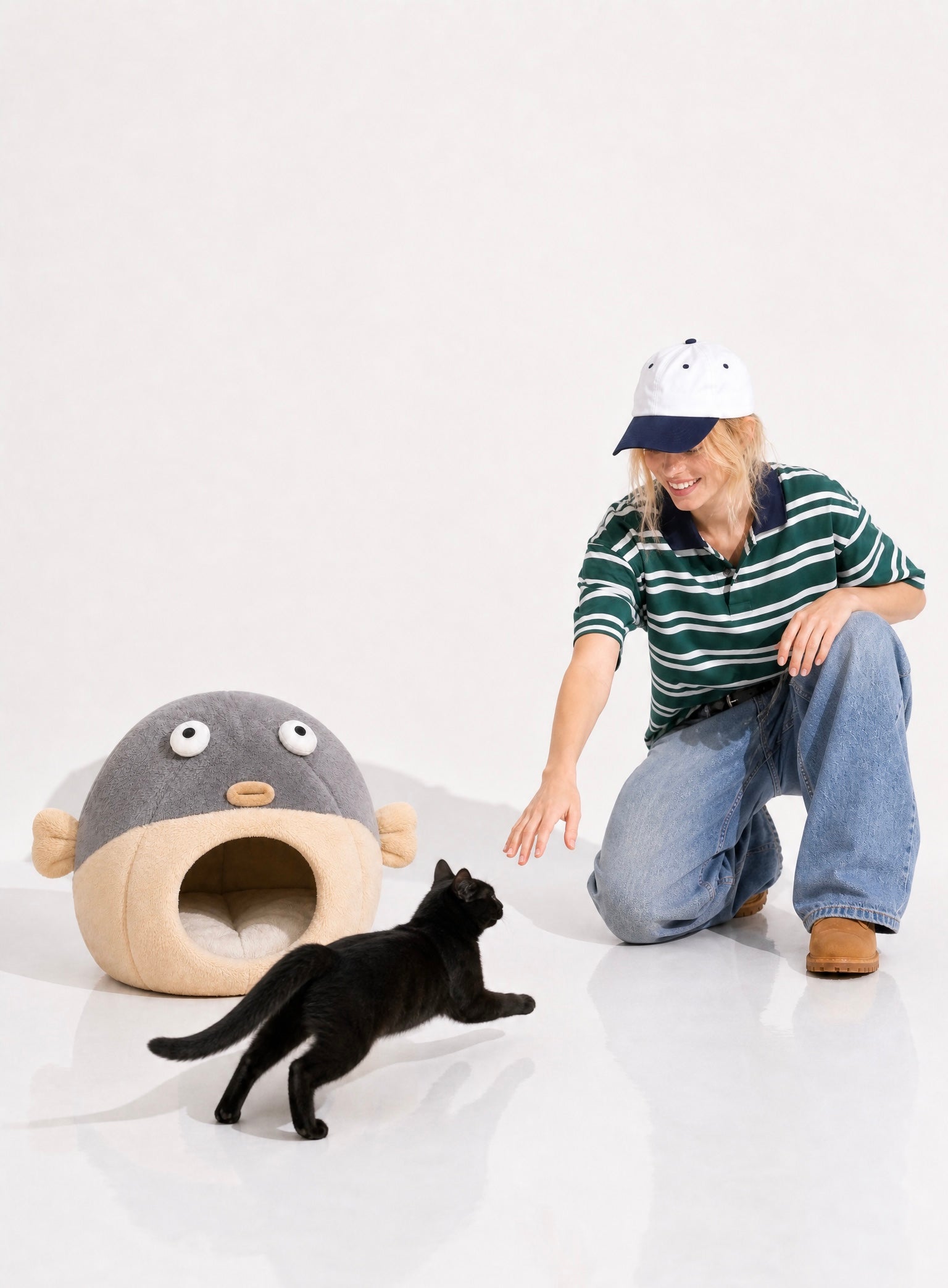 Cat Collection