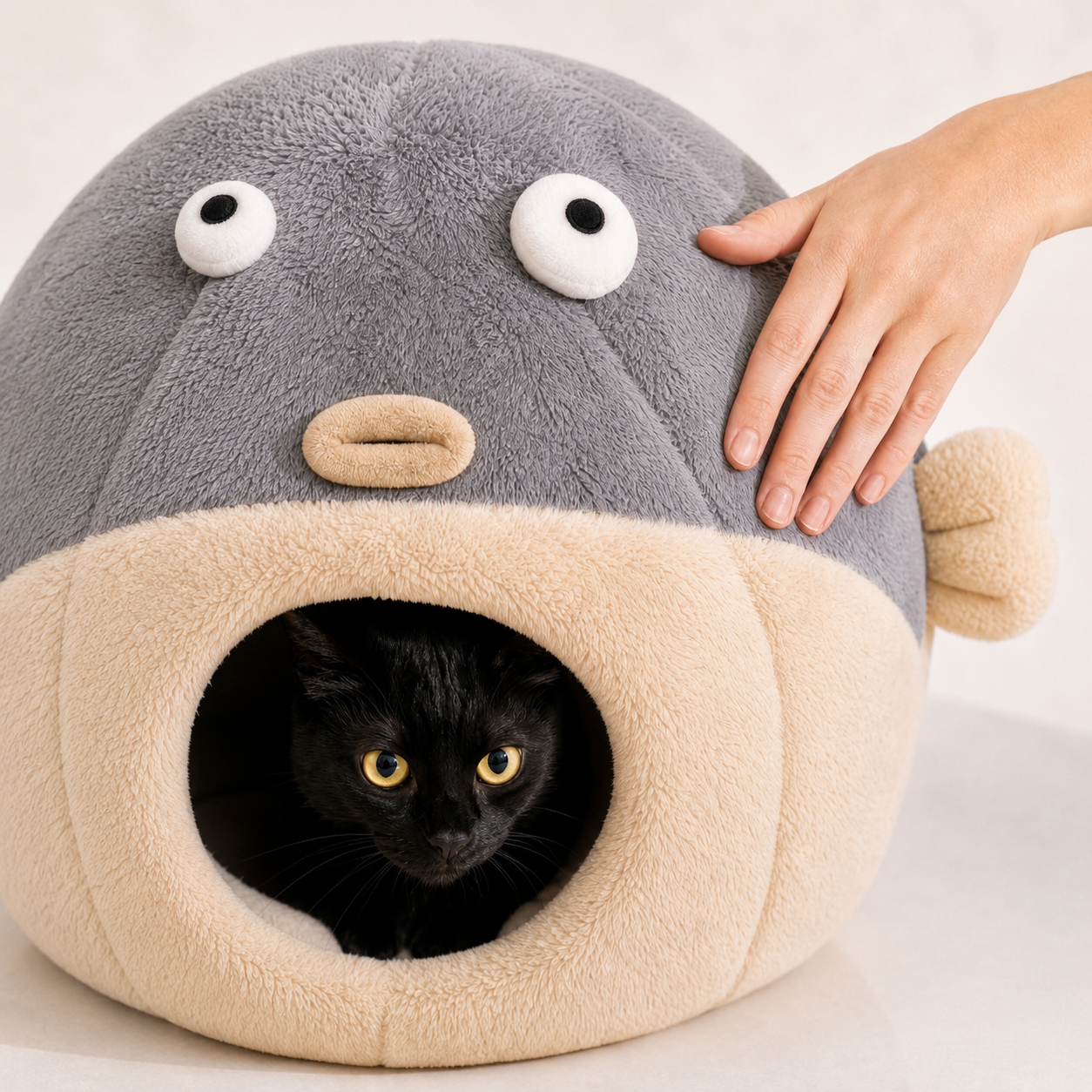 Cat House