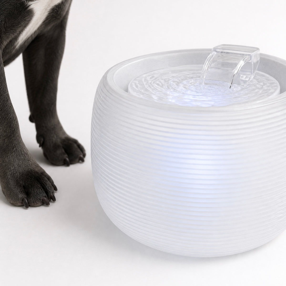 Smart Water Fountain
