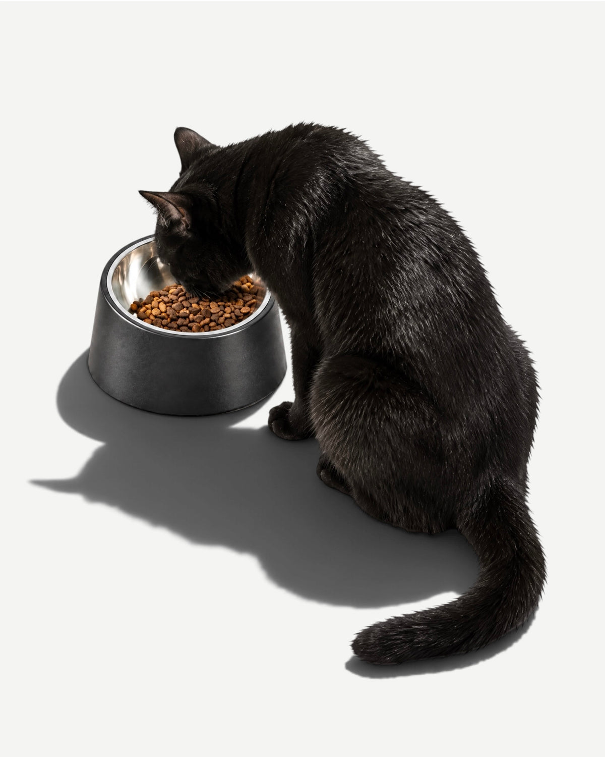 Slanted Cat Bowl