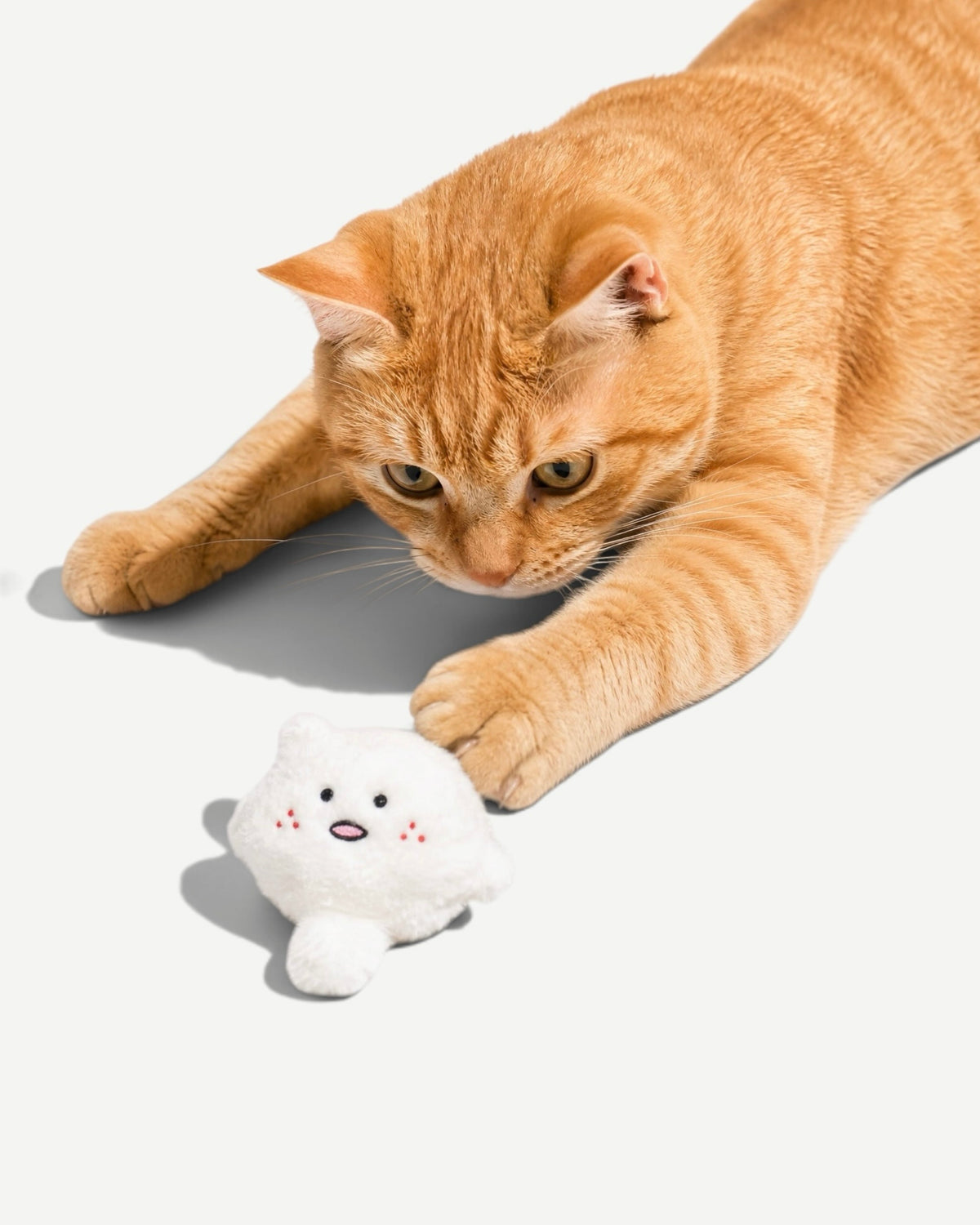 Playfull Plush Cat