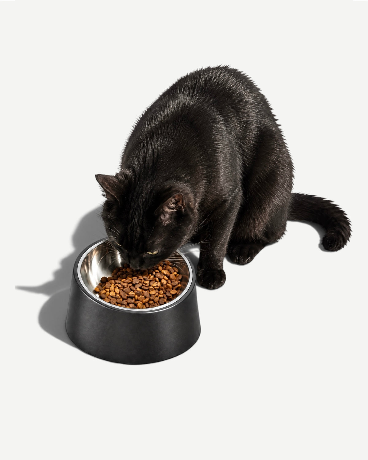 Slanted Cat Bowl