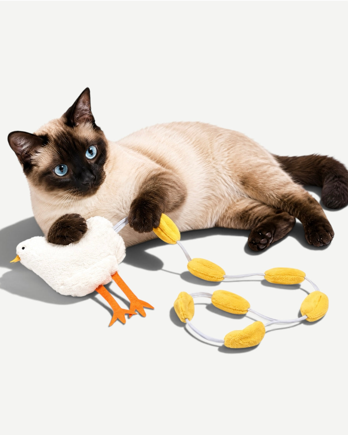 Sniff & Seek Toy