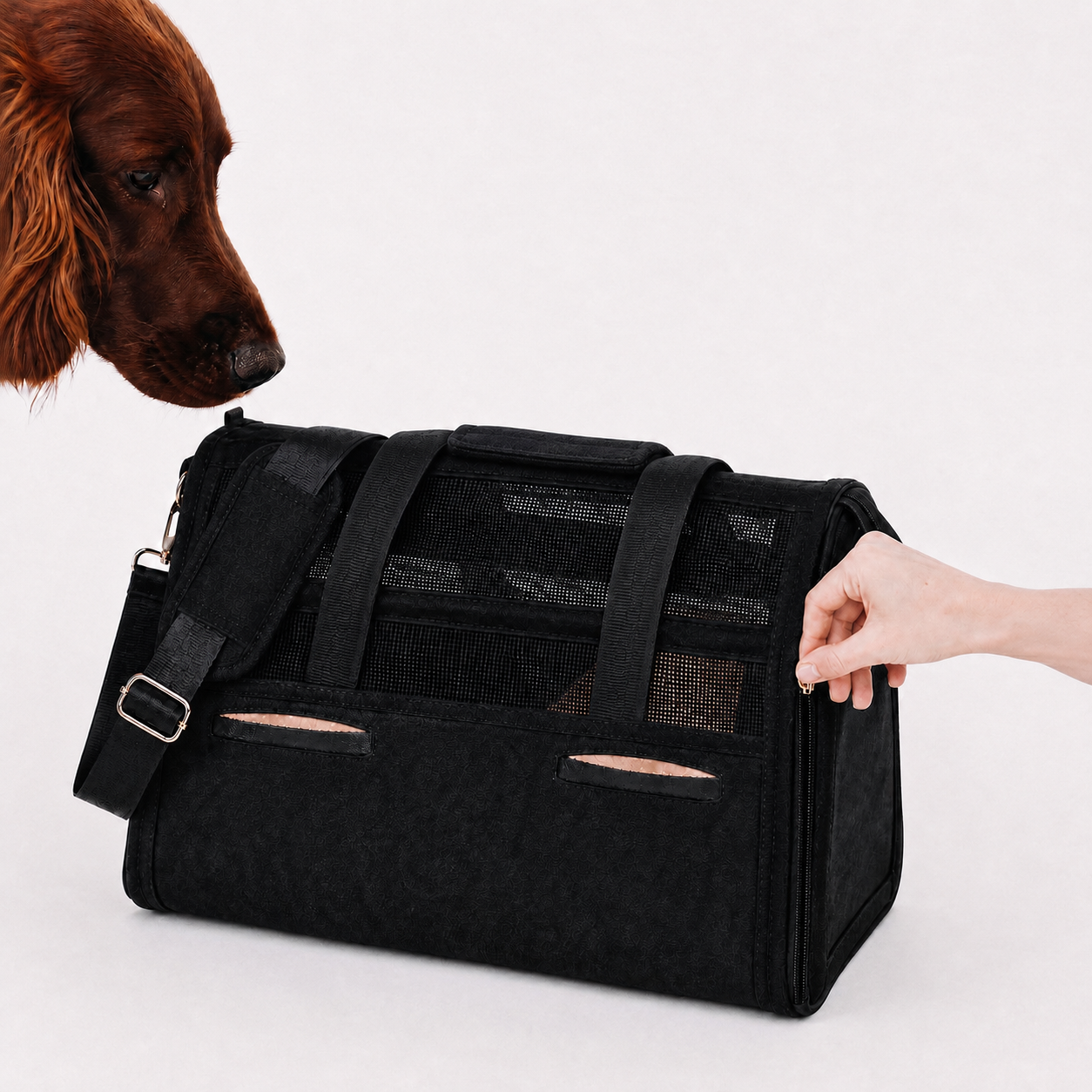 Pet Travel Bag