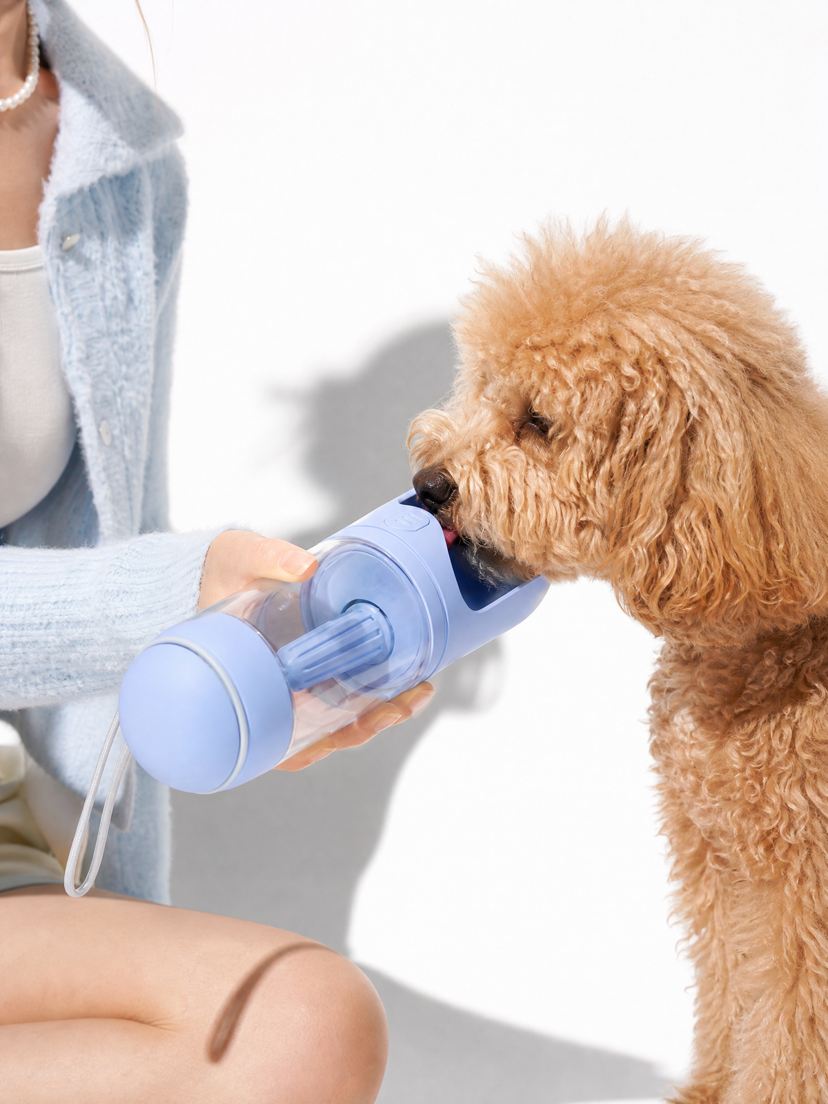 Portable Water Bottle