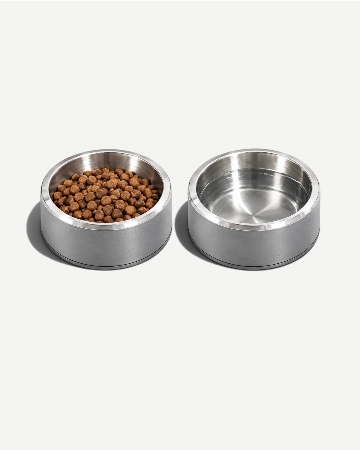 Dog Bowl