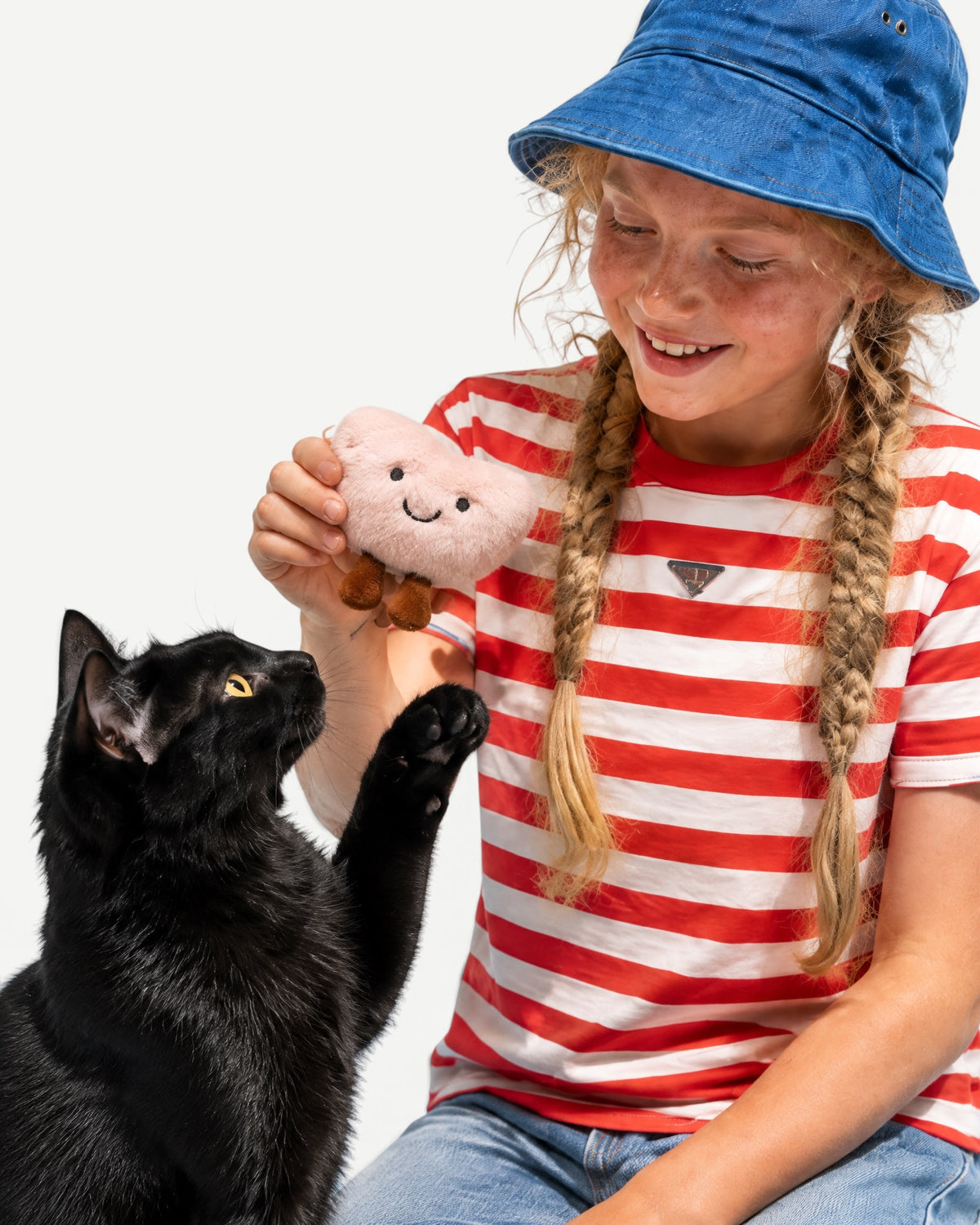 Cat Toy