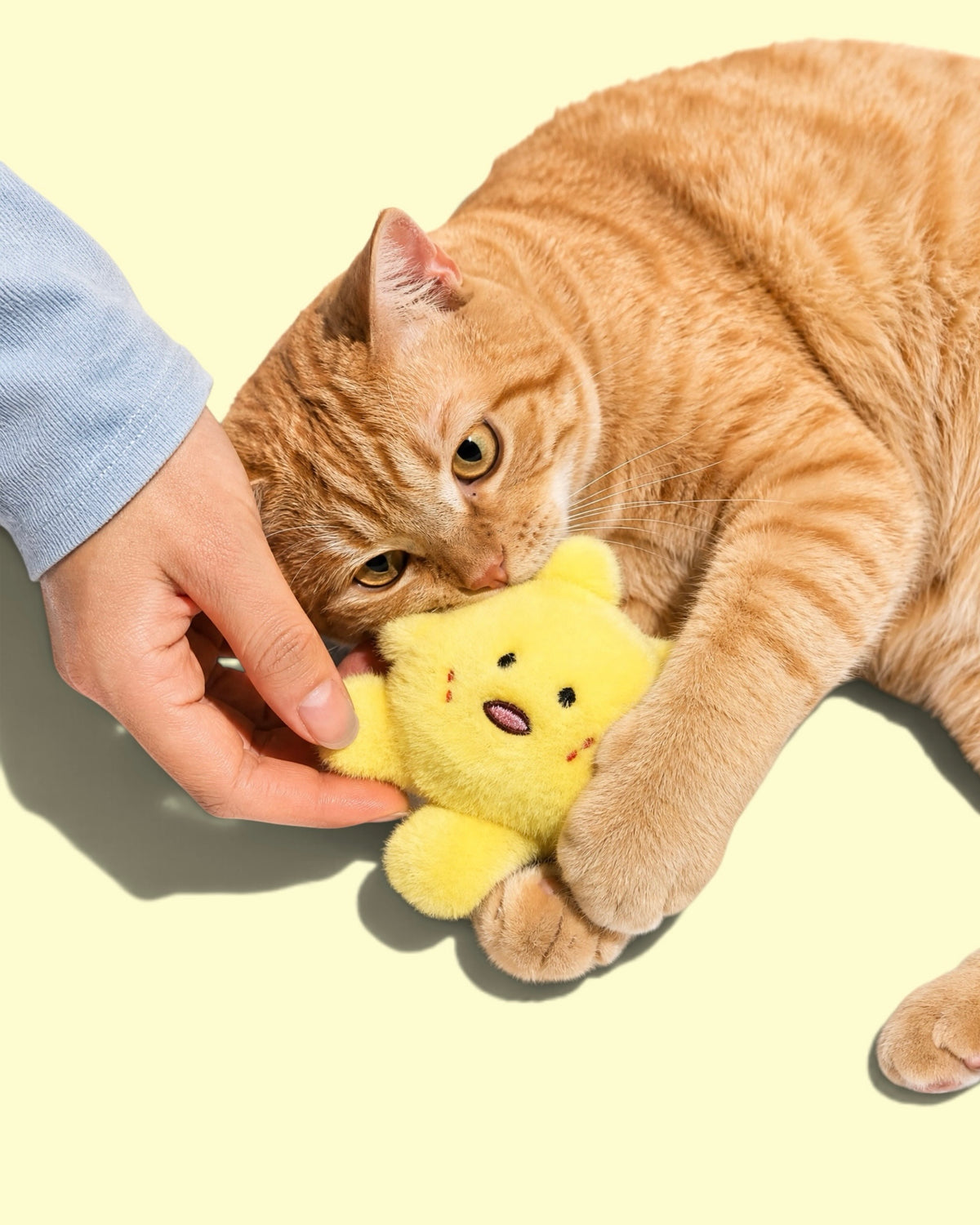 Playfull Plush Cat