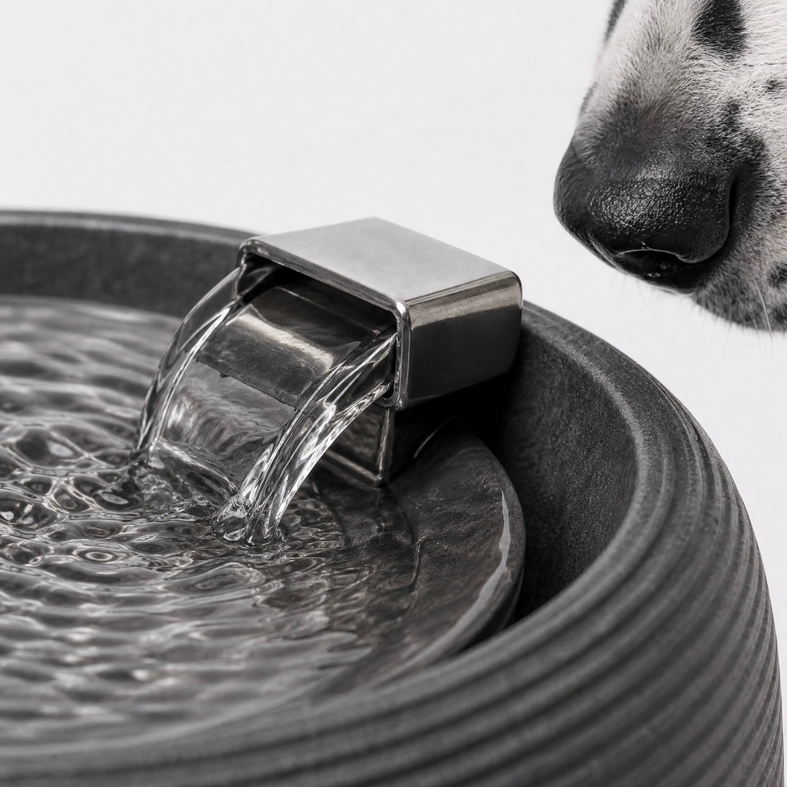 Smart Water Fountain