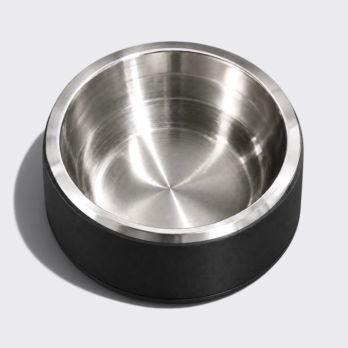 Dog Bowl