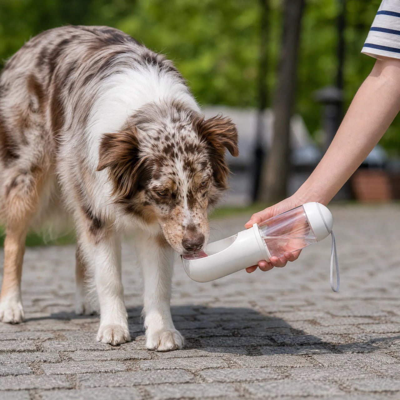 CLEAN WATER, ANYWHERE