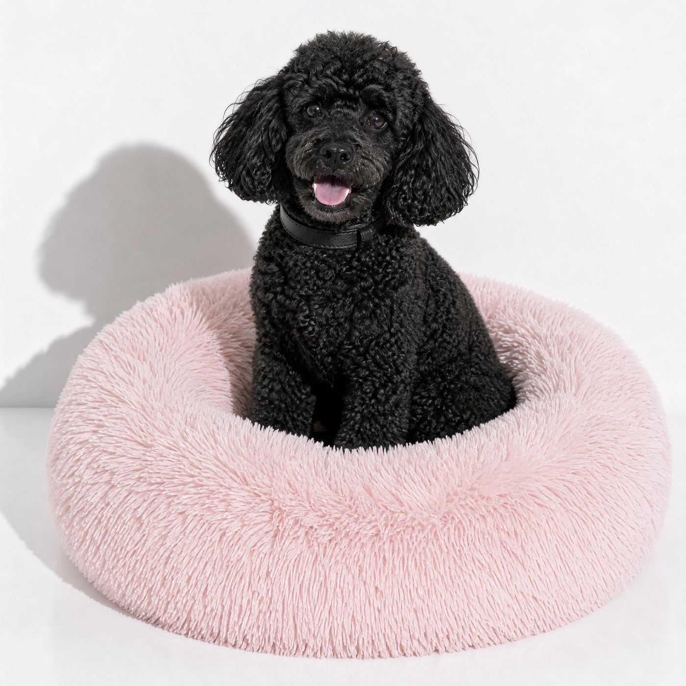 Cloud-Like Comfort
