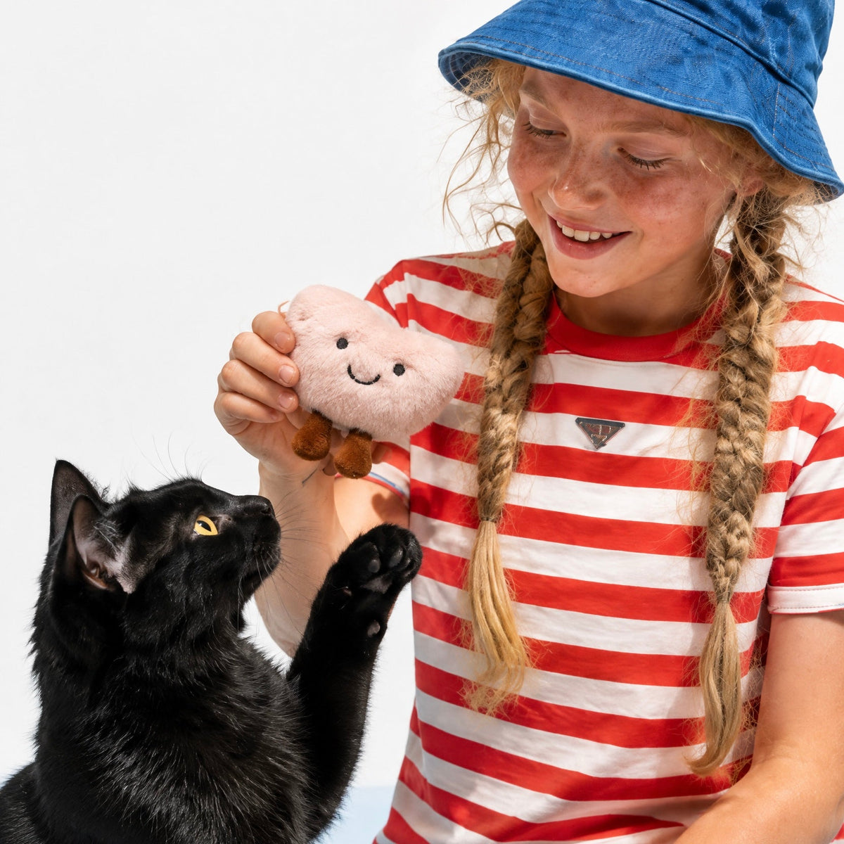 Cat Toy