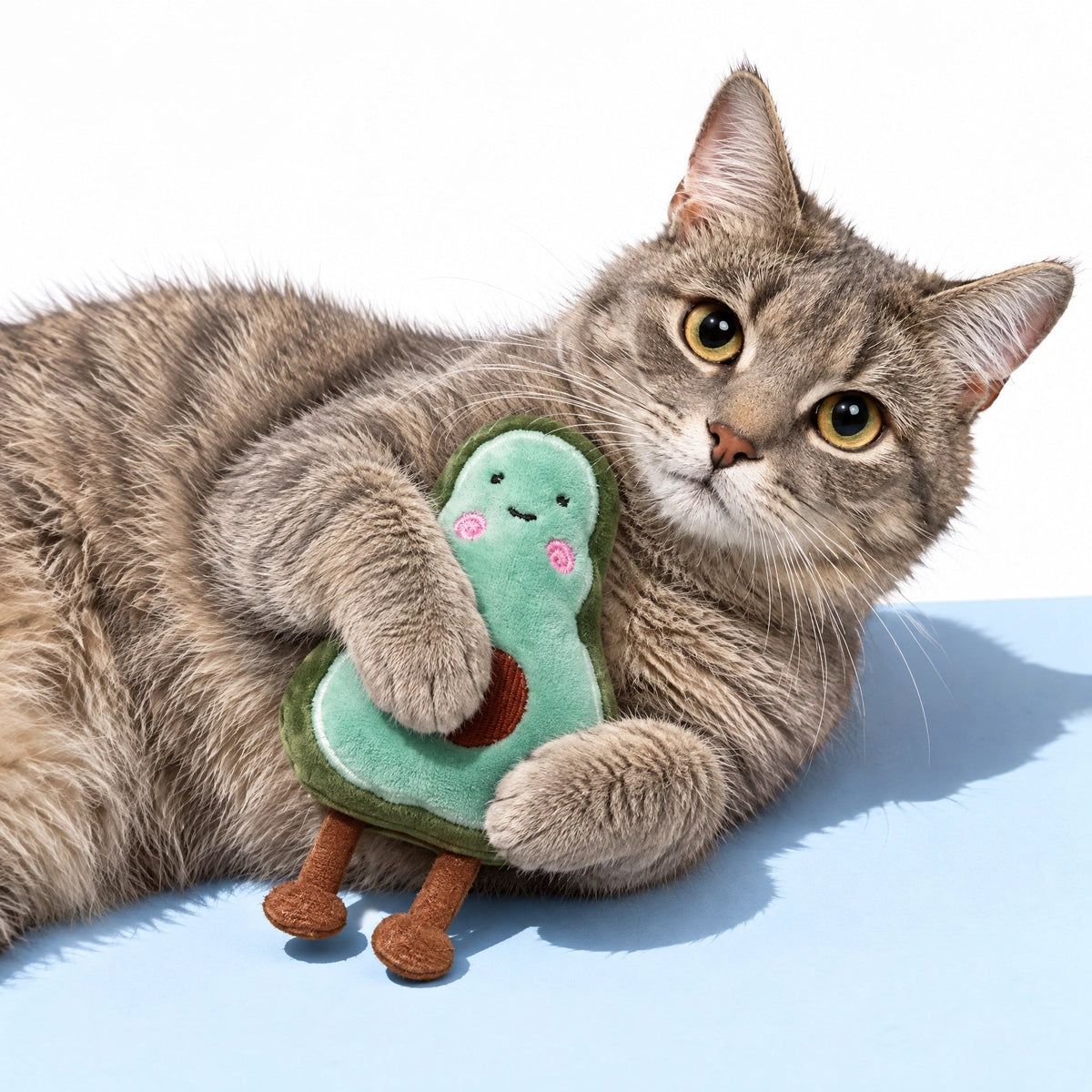 Cat Toy