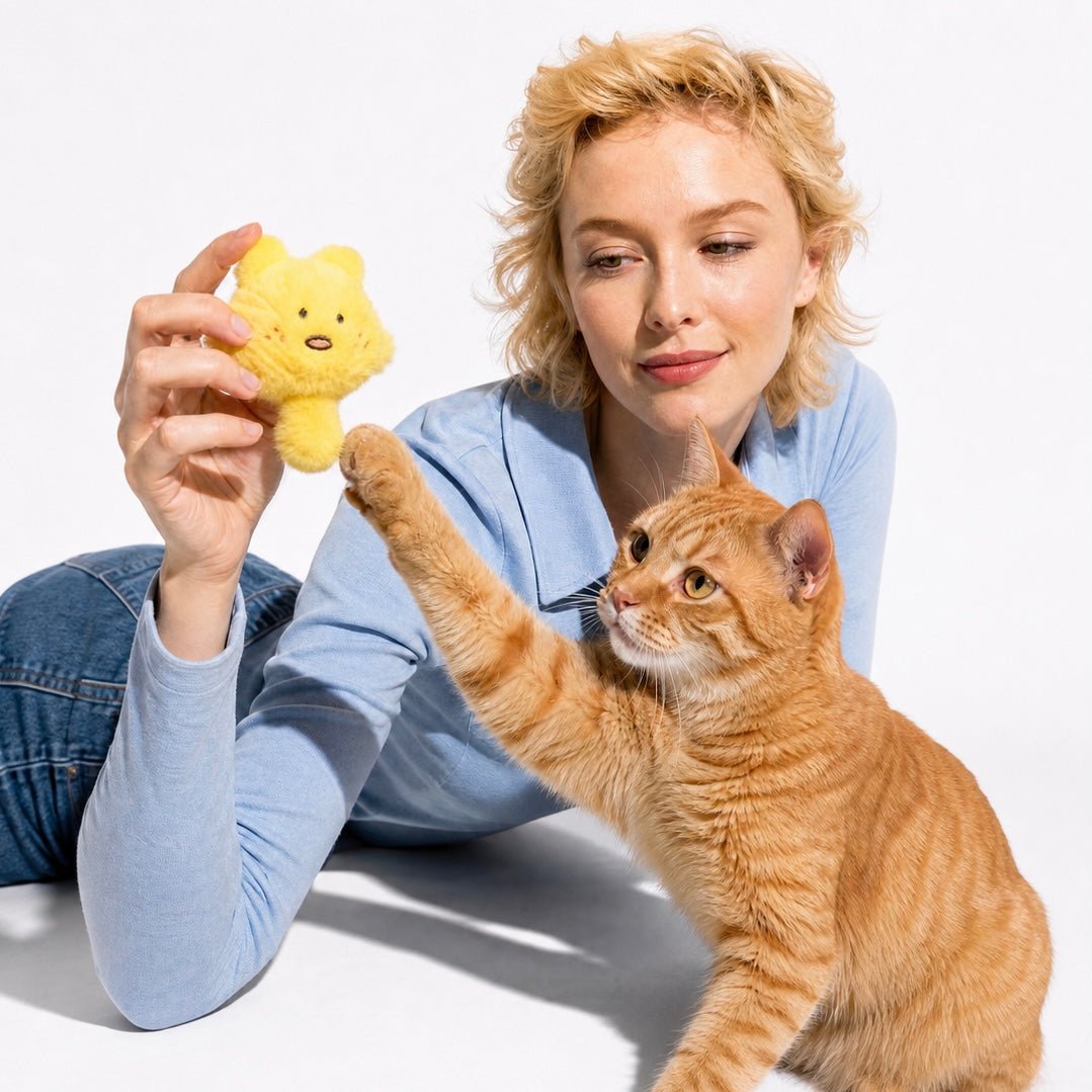 Playfull Plush Cat