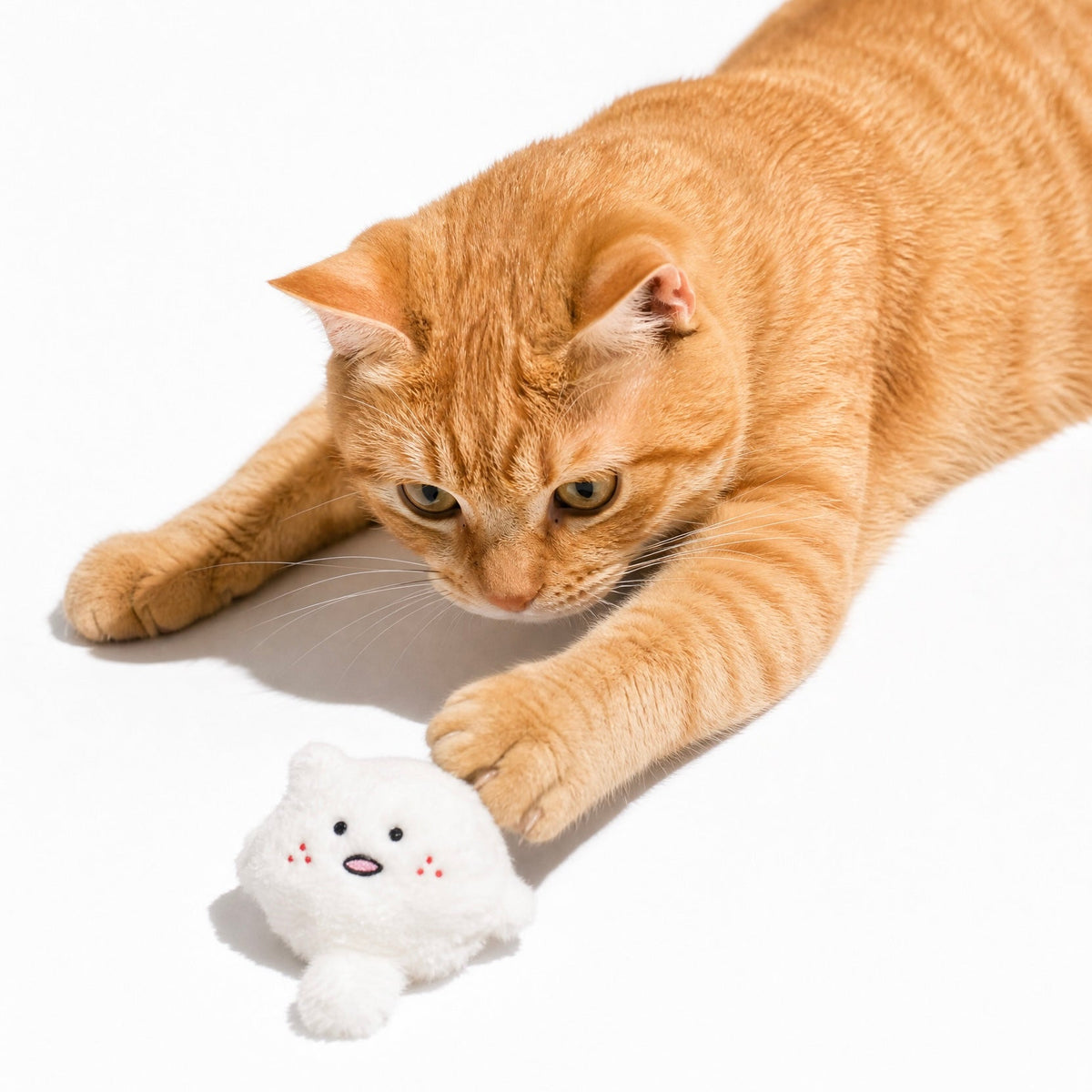 Playfull Plush Cat