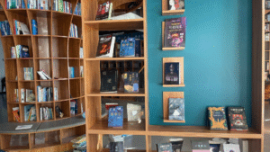 Read more about the article 10 Idées de Salon Bibliothèque avec Cheminée Alliant Chaleur, Élégance et Fonctionnalité